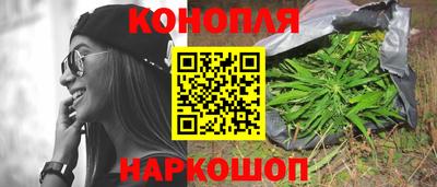 Альфа ПВП Дубна