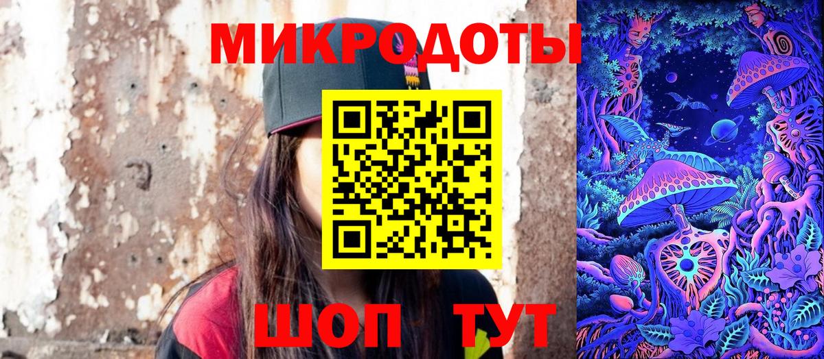 Псилоцибиновые грибы Cubensis Арзамас