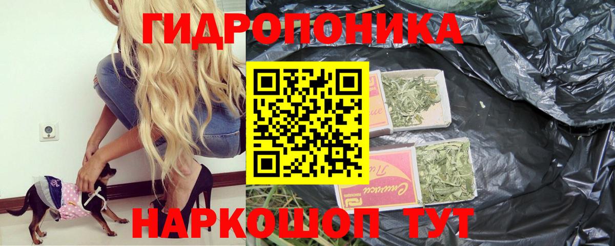 Шишки марихуана гибрид Арзамас